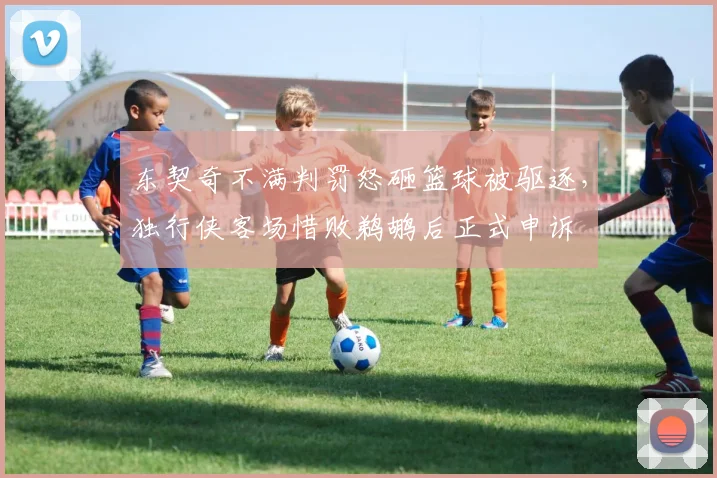 东契奇不满判罚怒砸篮球被驱逐,独行侠客场惜败鹈鹕后正式申诉